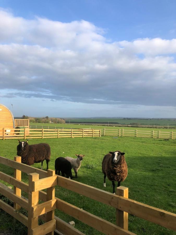 Caithness View Luxury Farm Lodges And Bbq Huts Wick  Exterior photo