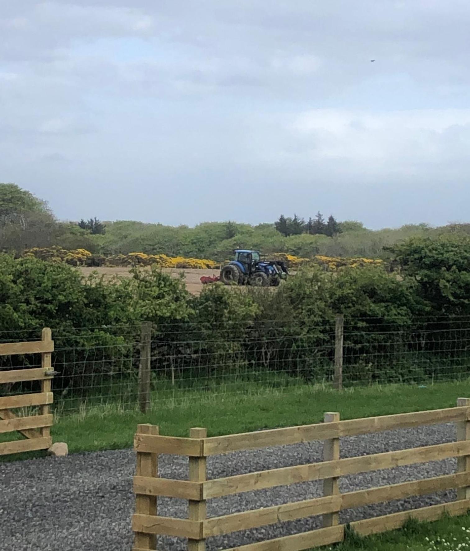 Caithness View Luxury Farm Lodges And Bbq Huts Wick  Exterior photo